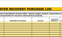 disaster recovery purchase log